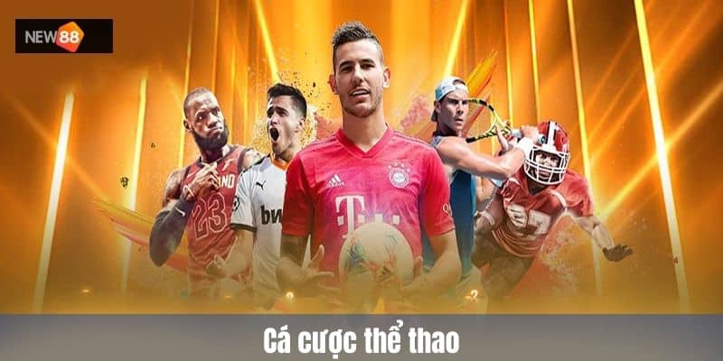 Cá cược thể thao NEW88